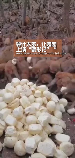 彩神彩票官网